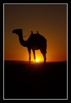 an example of the images created by Richard Greenwood