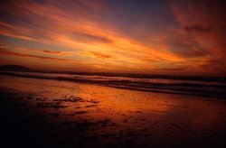 an example of the images created by Doug Horrigan