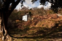an example of the images created by Teddy Sugrue