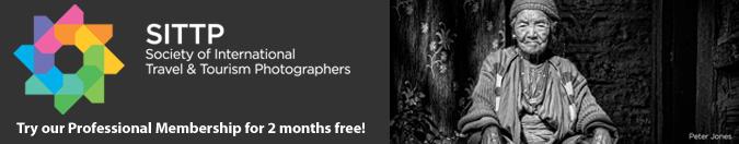 Try our Professional Membership for 2 months free!